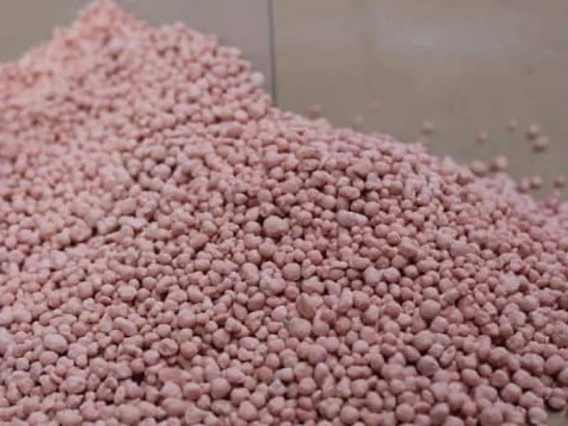 NPK 11-8-34 + TE: Purpose, Advantages and How to Use It at Fruit Fill