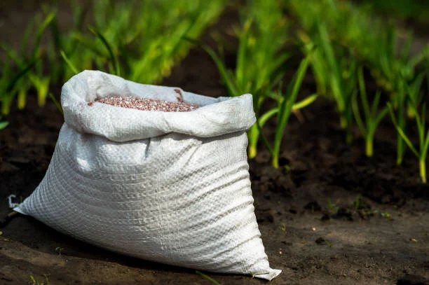Potassium Nitrate vs SOP vs MOP: A Buyer’s Comparison